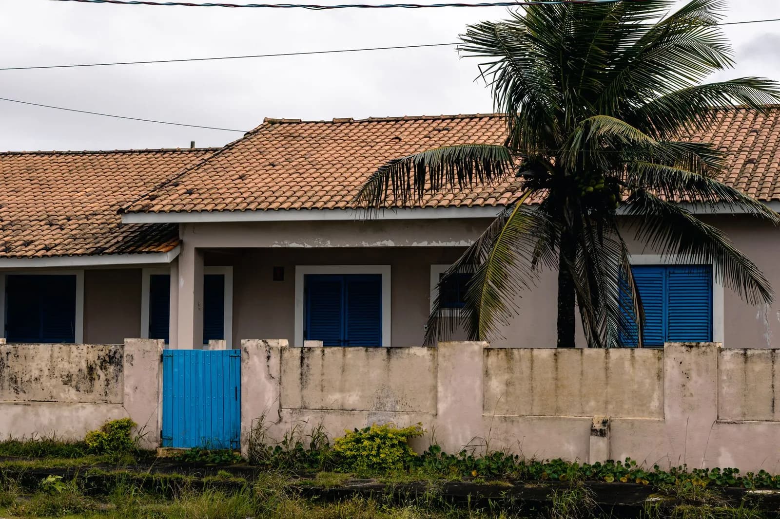Maison à toit de tuiles et volets bleus fermés, avec un cocotier penché devant et un ciel couvert