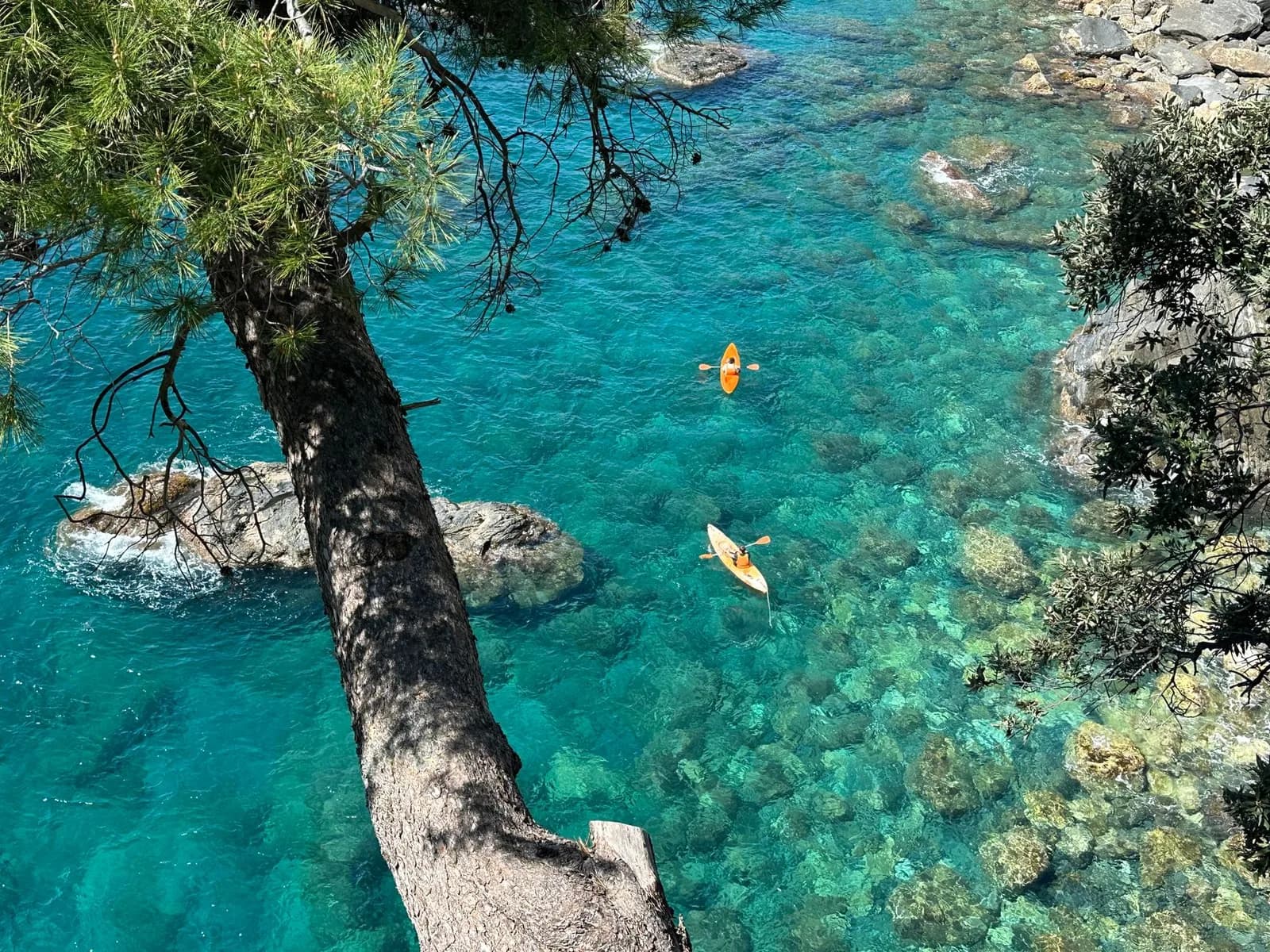 Deux kayaks de mer sur une eau turquoise transparente vue d'en haut