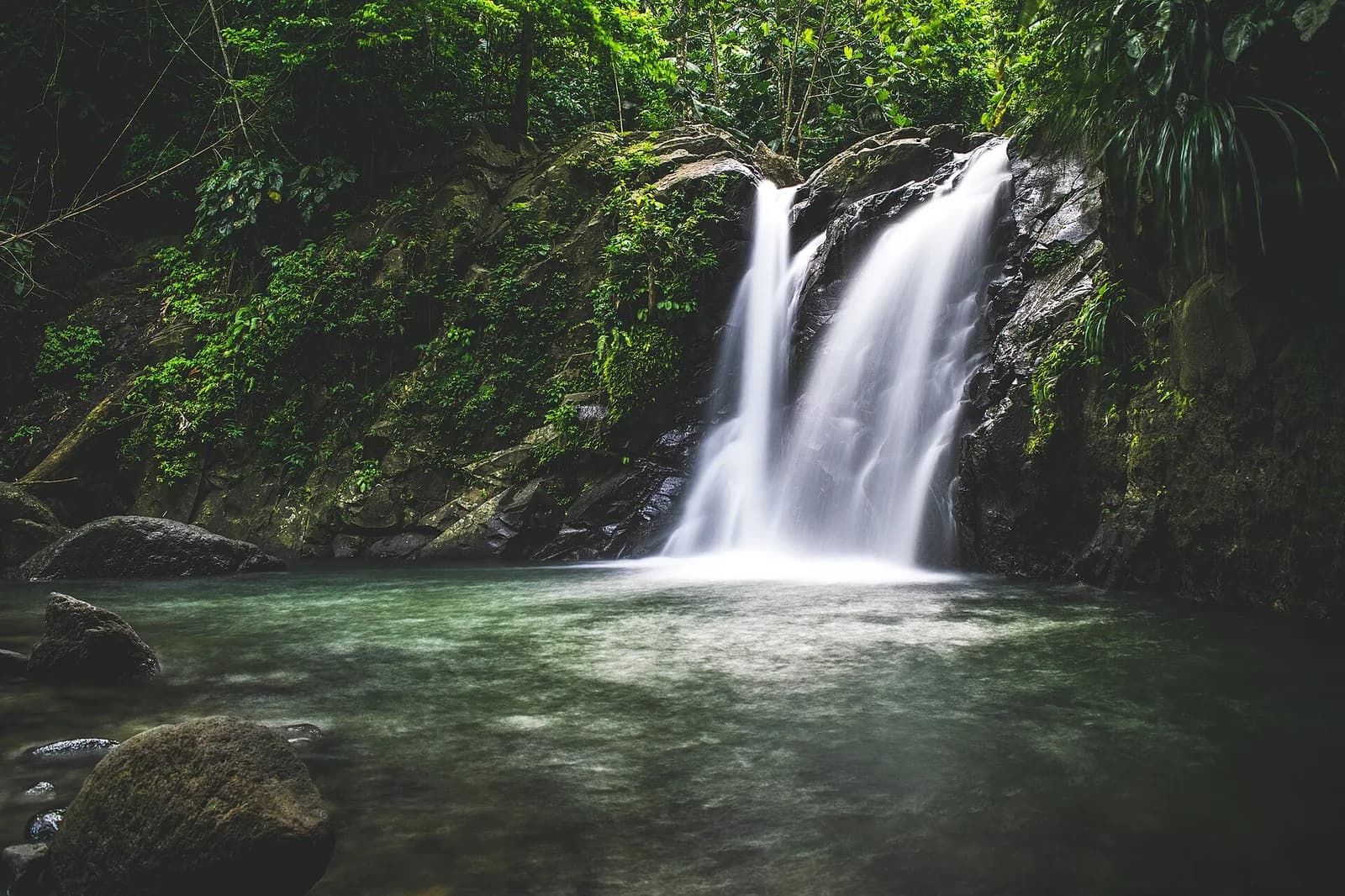 La cascade Didier en forêt tropicale, sur les hauteurs de Fort-de-France, Martinique