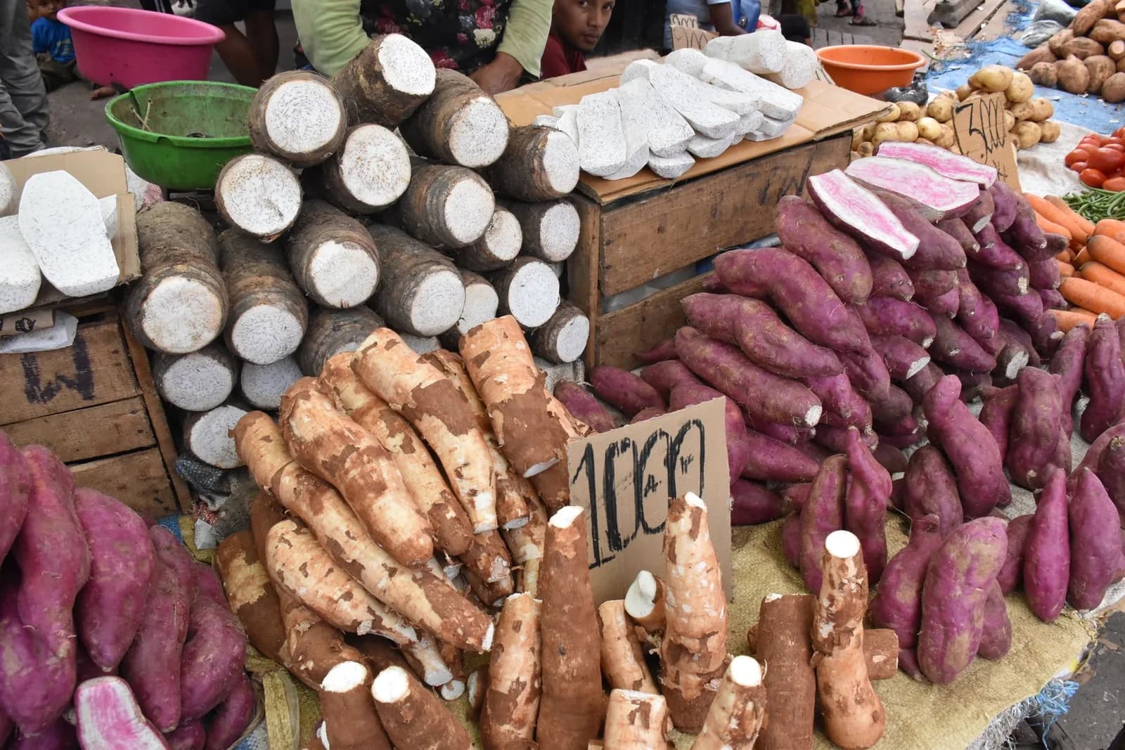 Étal de marché garni de racines et tubercules de plusieurs variétés