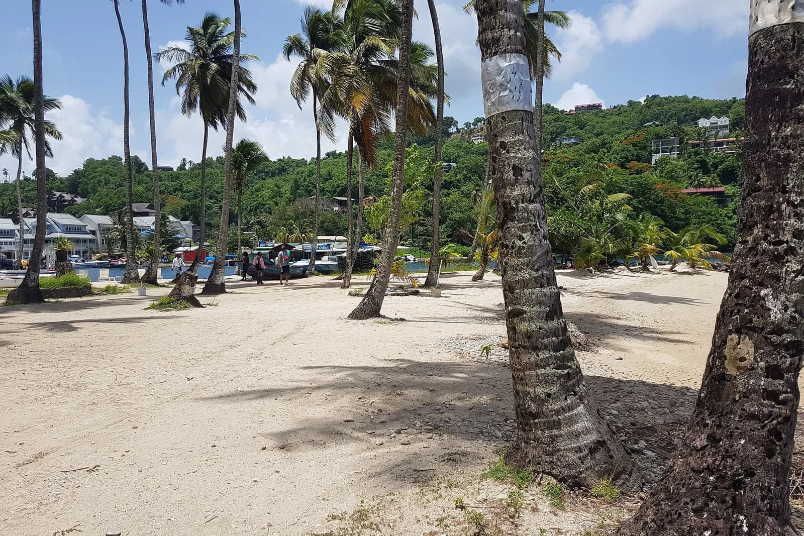 Plage de sable et cocotiers à Marigot Bay, Sainte-Lucie