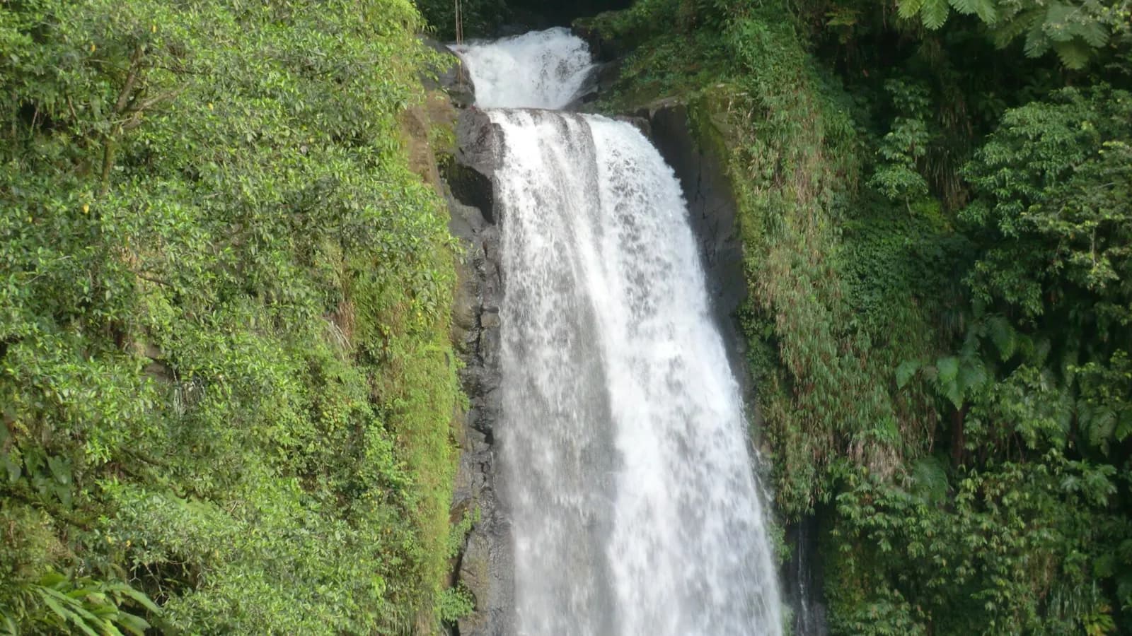 Cascade de Trafalgar Falls dans la forêt tropicale de la Dominique