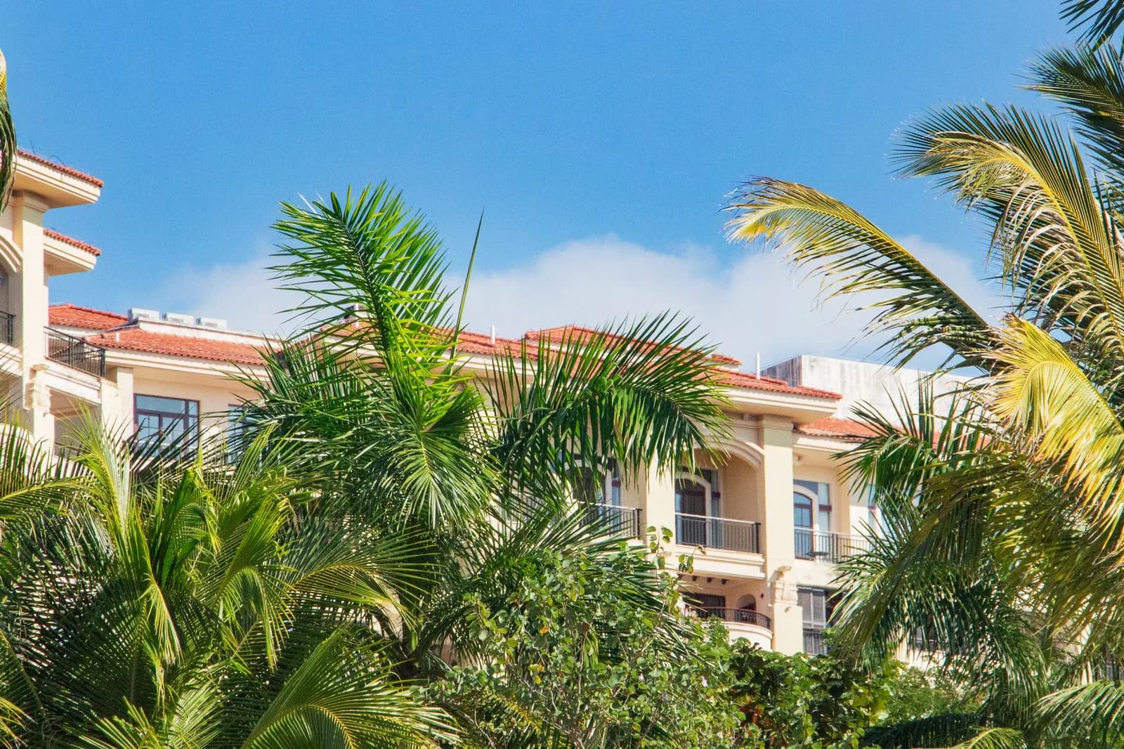 Résidence d'appartements à toits de tuiles entourée de palmiers