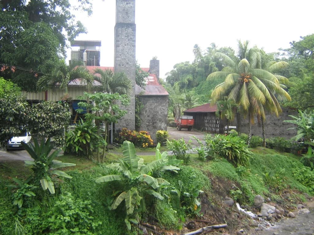 Cheminée en pierre et bâtiments de la distillerie de Fonds-Préville à Macouba, dans la végétation tropicale