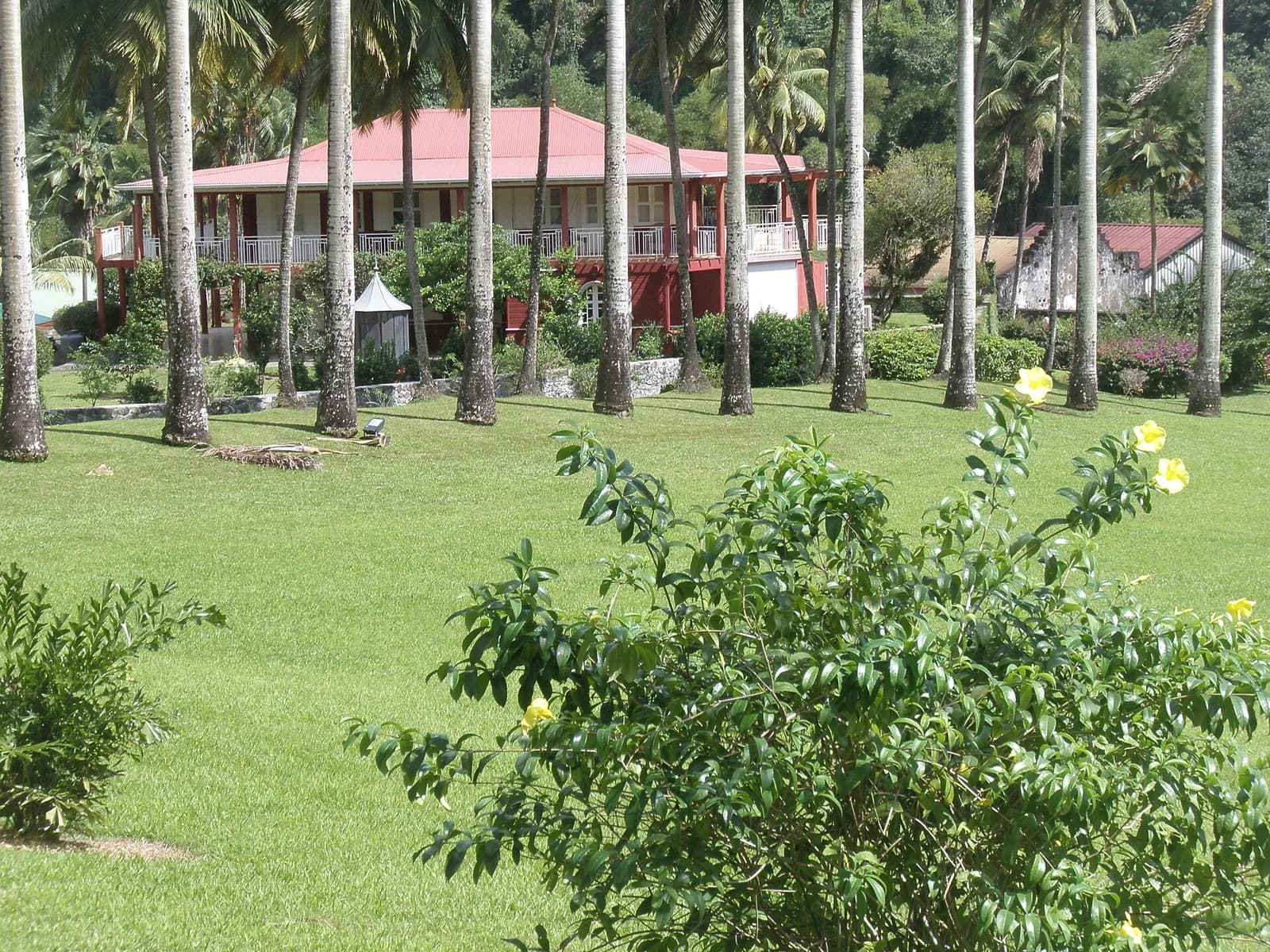 Maison de maître au toit rouge entourée de palmiers royaux sur l'Habitation Saint-Étienne au Gros-Morne