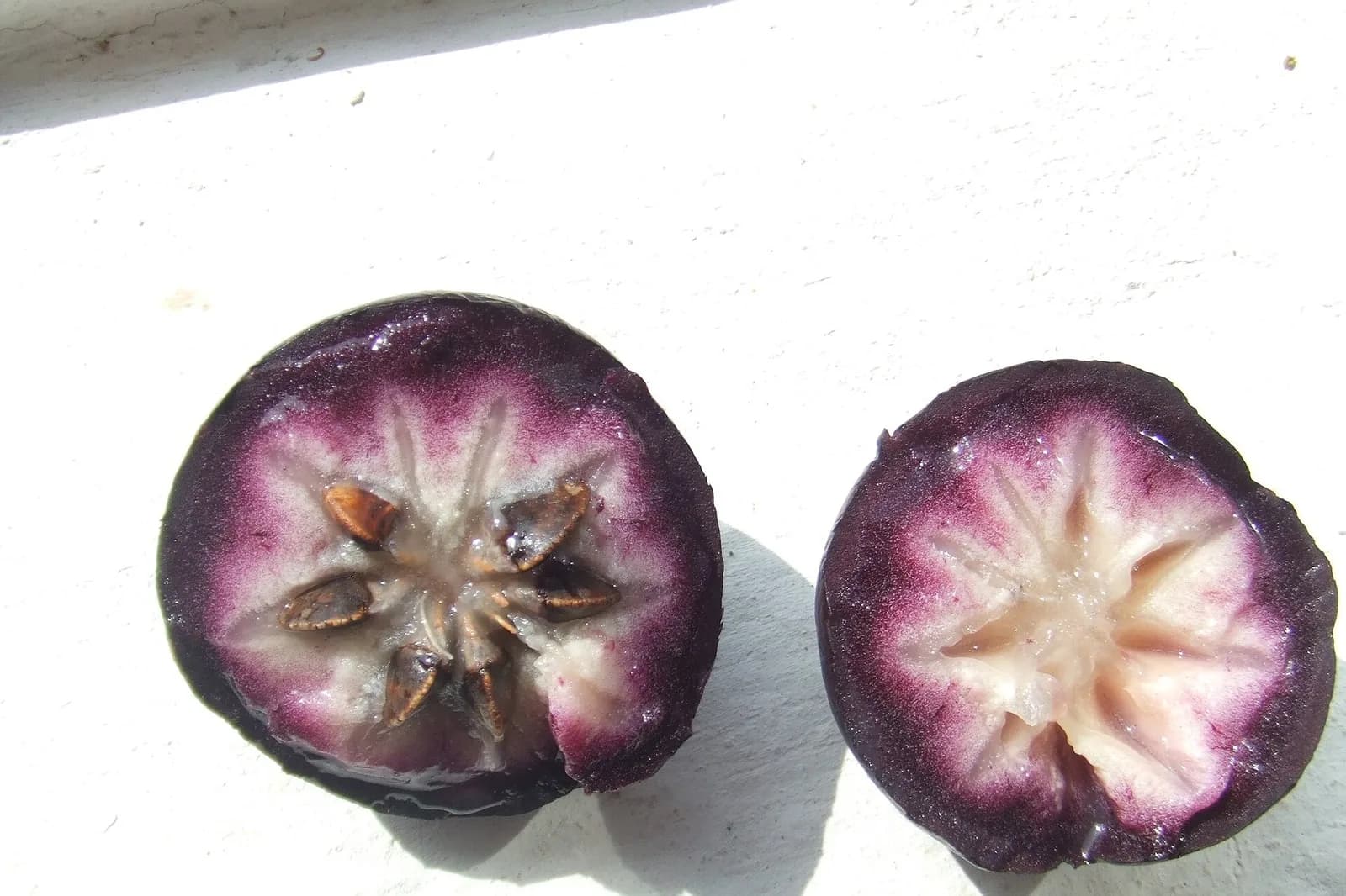 Caïmite violette coupée en deux montrant l'étoile centrale
