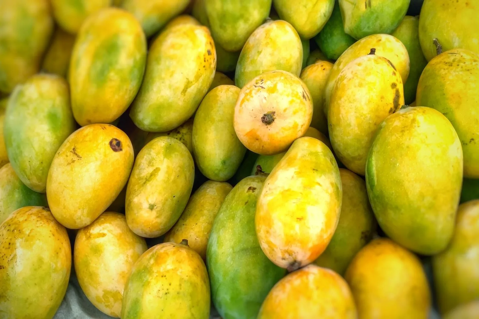 Tas de petites mangues mûres jaune et vert sur un étal