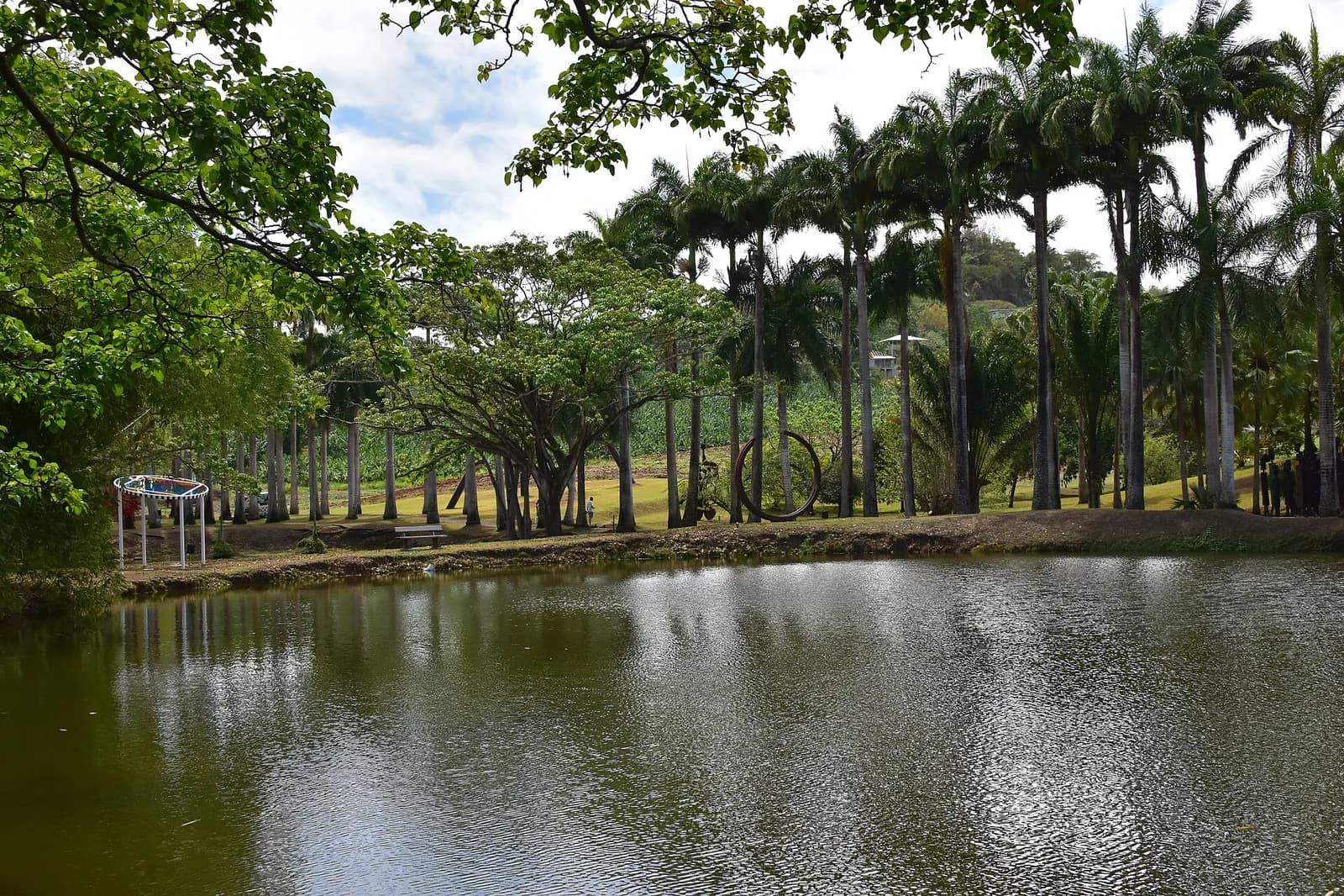 Allée de palmiers royaux et étang dans le parc de l'Habitation Clément, Le François, Martinique