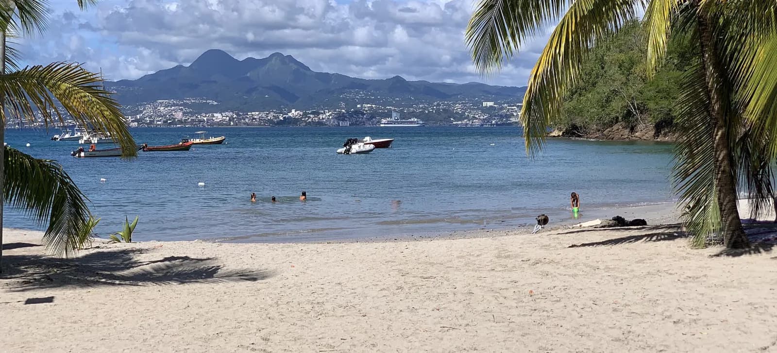 Vue sur la baie de Fort-de-France depuis une plage de sable bordée de cocotiers, avec les bateaux au mouillage, la ville au bord de l'eau et les Pitons du Carbet en arrière-plan