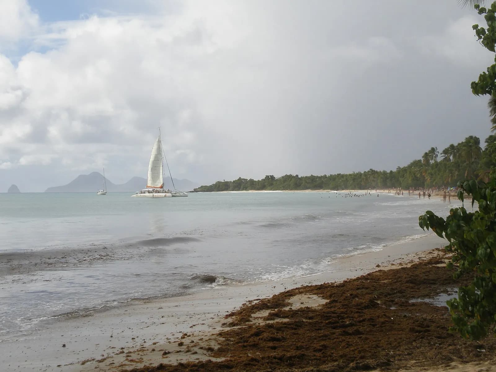 Plage de la Grande Anse des Salines avec un catamaran au large et des sargasses échouées sur le sable