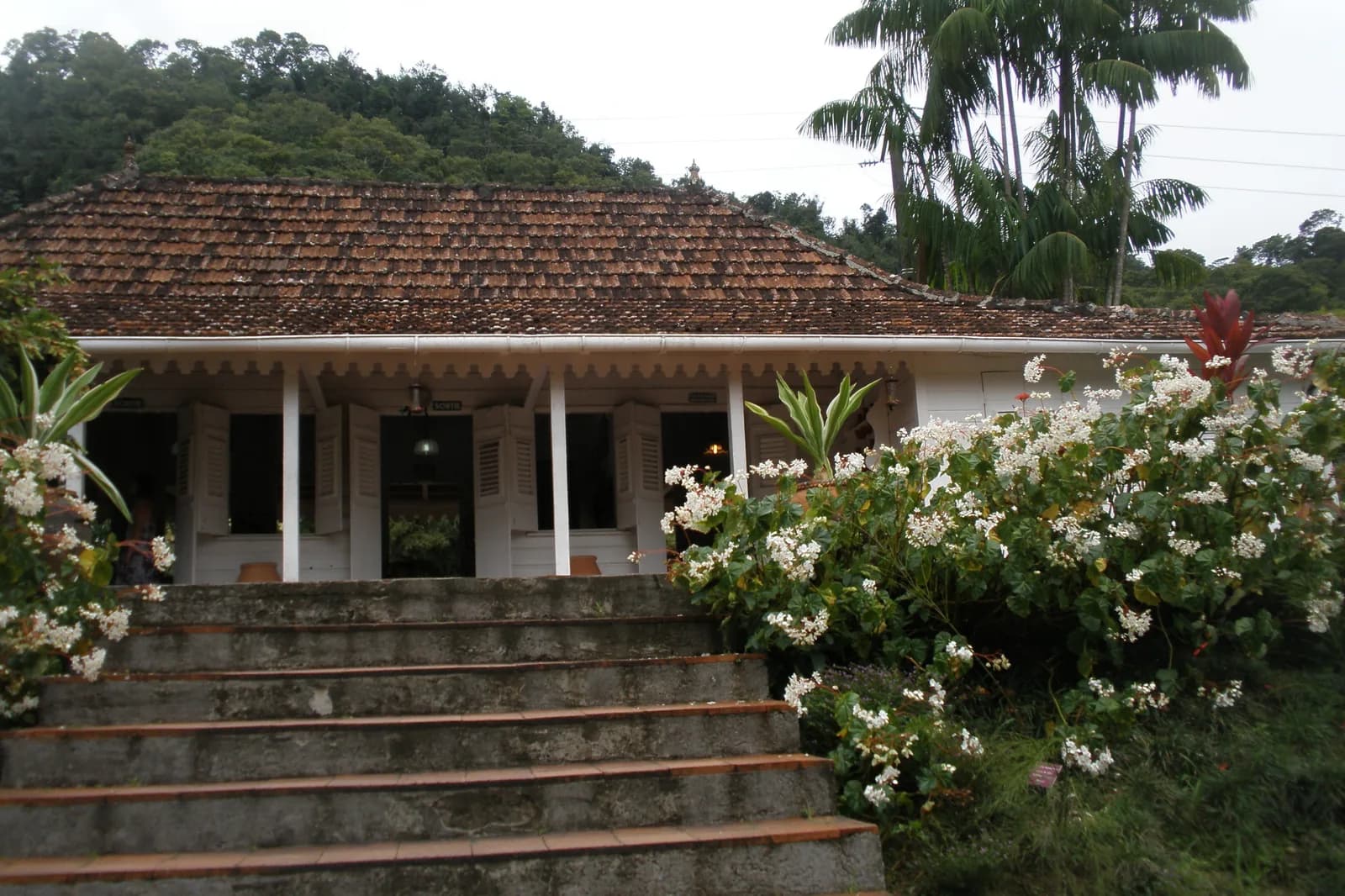 Maison créole du jardin de Balata, avec son perron et ses bégonias blancs, à Fort-de-France