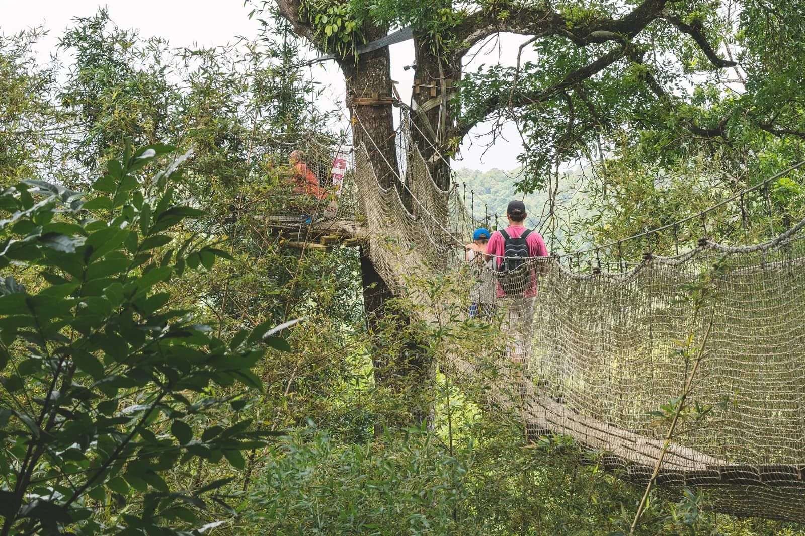 Visiteurs sur la passerelle suspendue dans la canopée du jardin de Balata, en Martinique