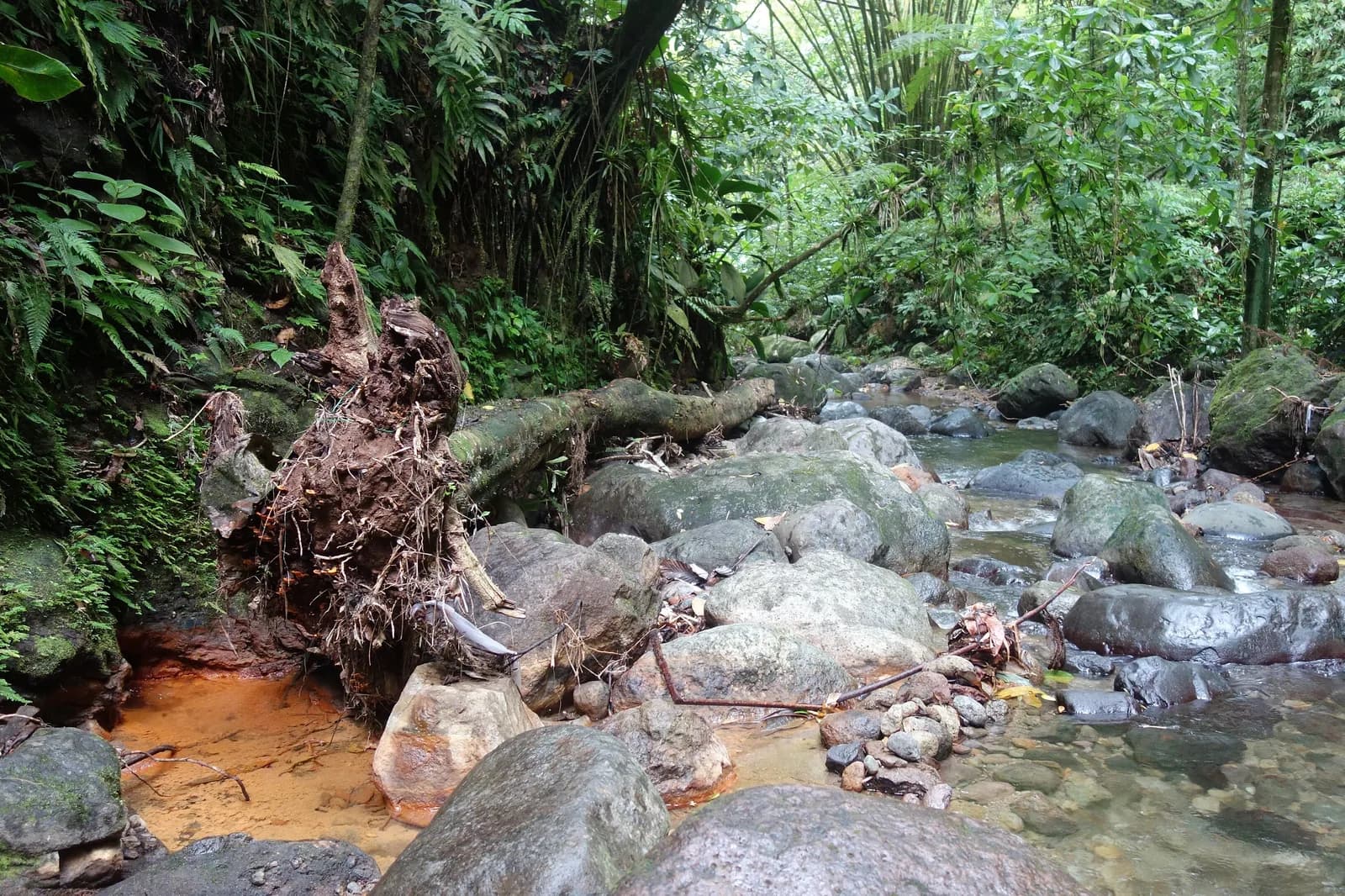 Rivière d'Absalon entre rochers et forêt humide, sur les hauteurs de Fort-de-France en Martinique