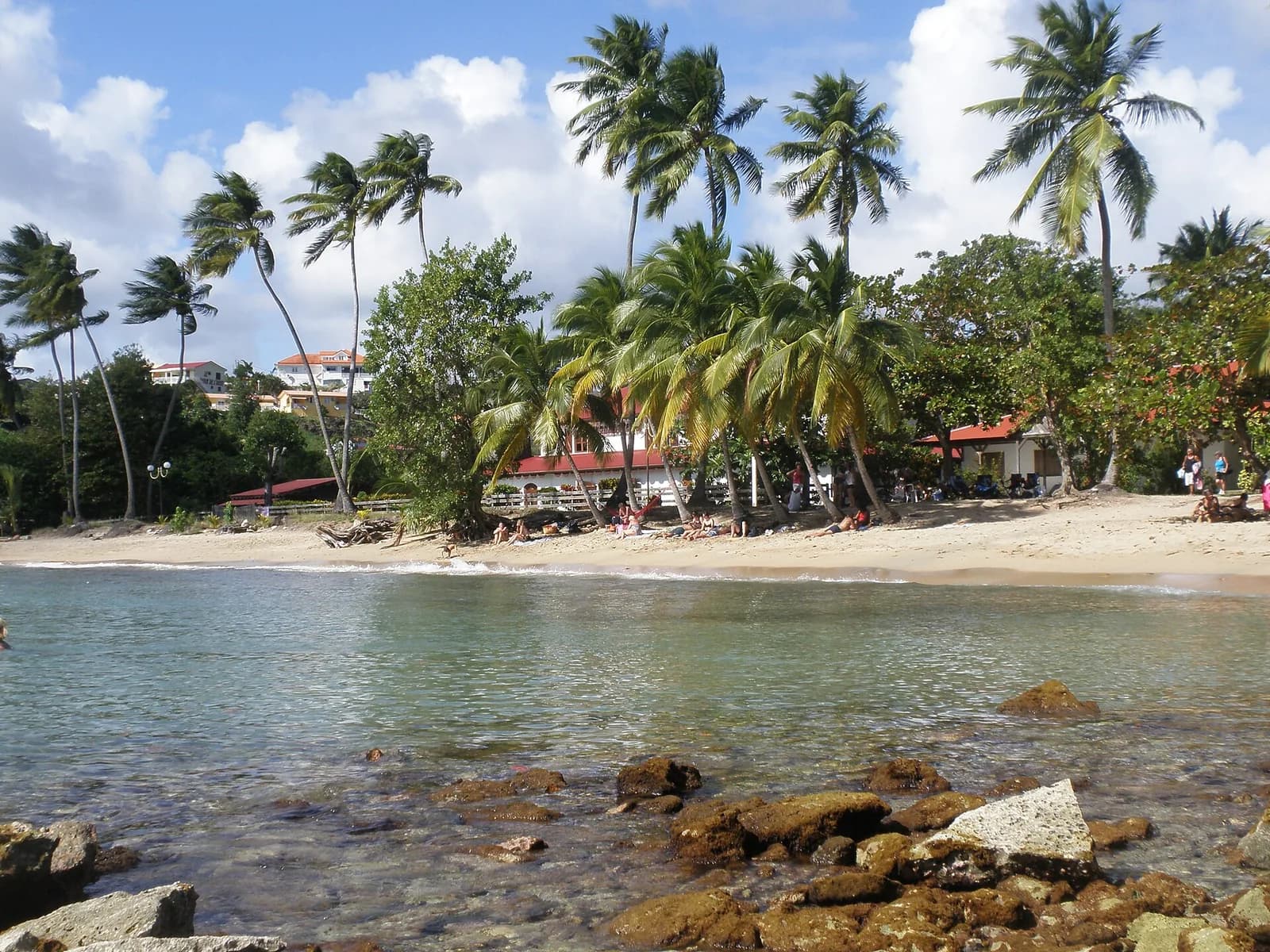 Plage de sable de l'anse Figuier à Rivière-Pilote, Martinique, bordée de cocotiers