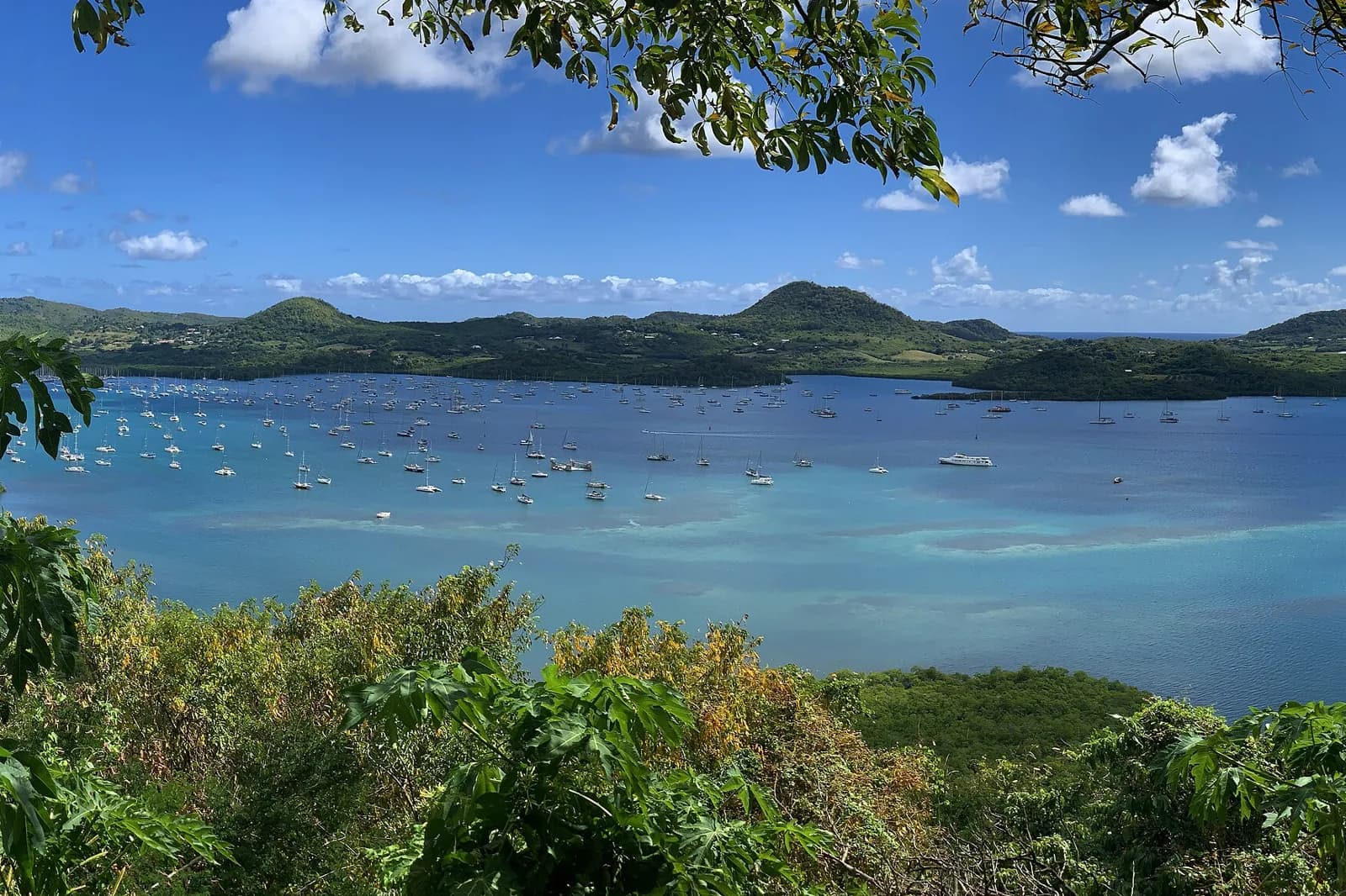 Voiliers au mouillage dans la baie du Marin, sud de la Martinique, vue depuis les hauteurs