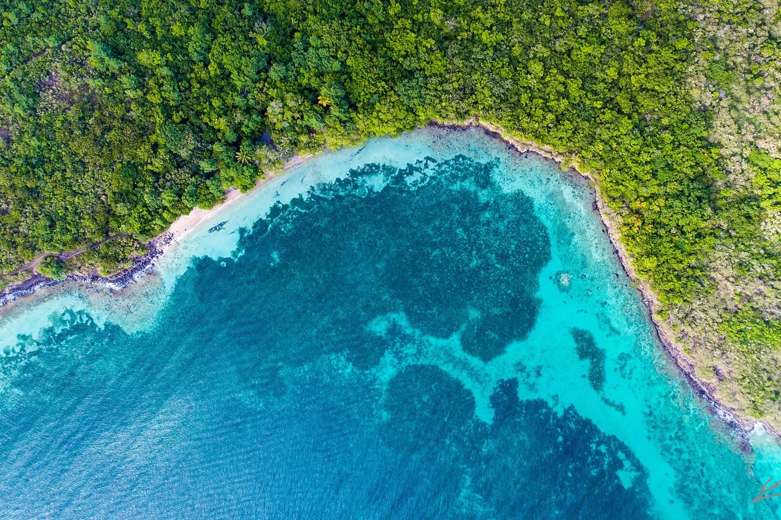 Vue aérienne de la Pointe Borgnèse au Marin : eaux turquoises, récifs et végétation
