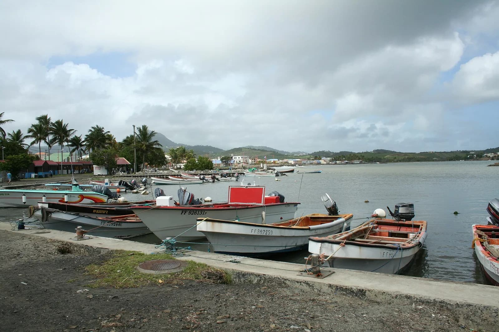 Canots de pêche amarrés dans le port du Vauclin, avec le bourg en arrière-plan