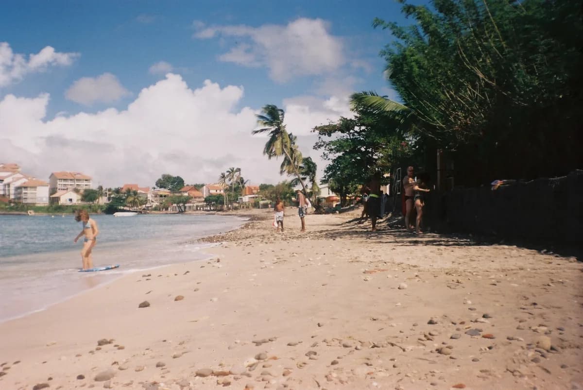 Plage de l'Anse Mitan aux Trois-Îlets, avec sa bande de sable, ses palmiers et les résidences de la baie