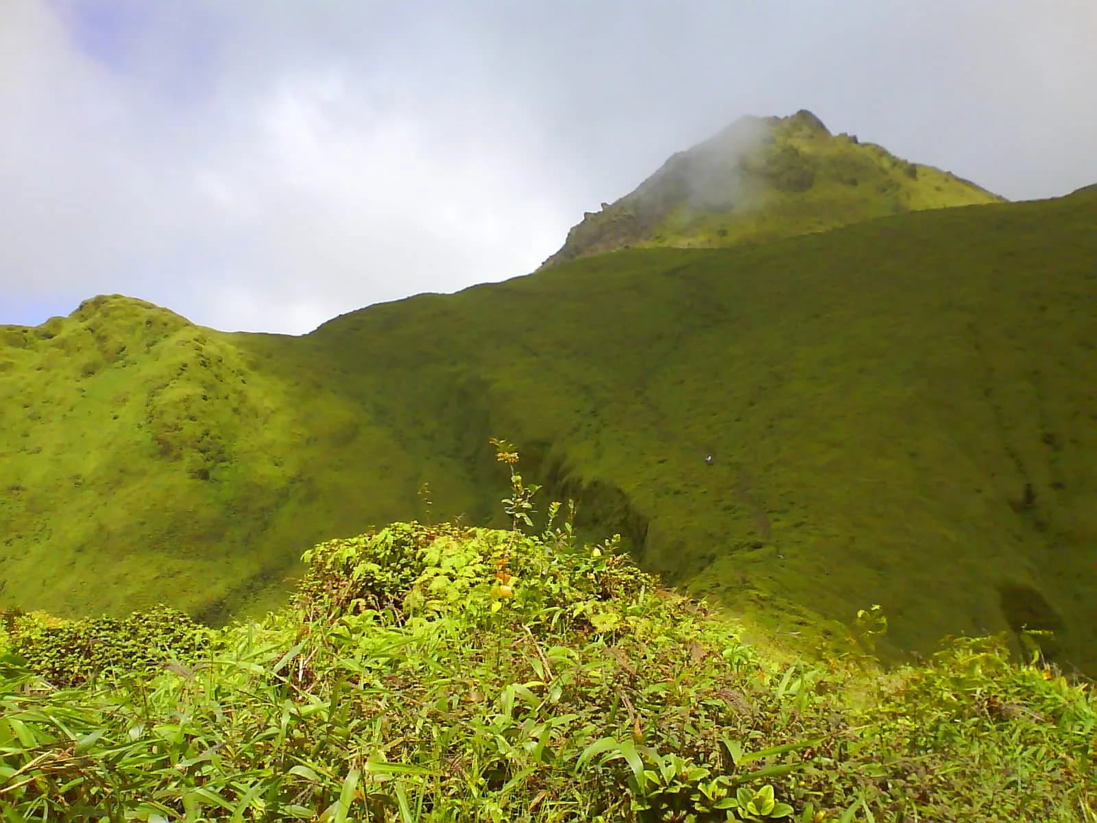 Sommet de la Montagne Pelée enveloppé de nuages au-dessus des pentes vertes