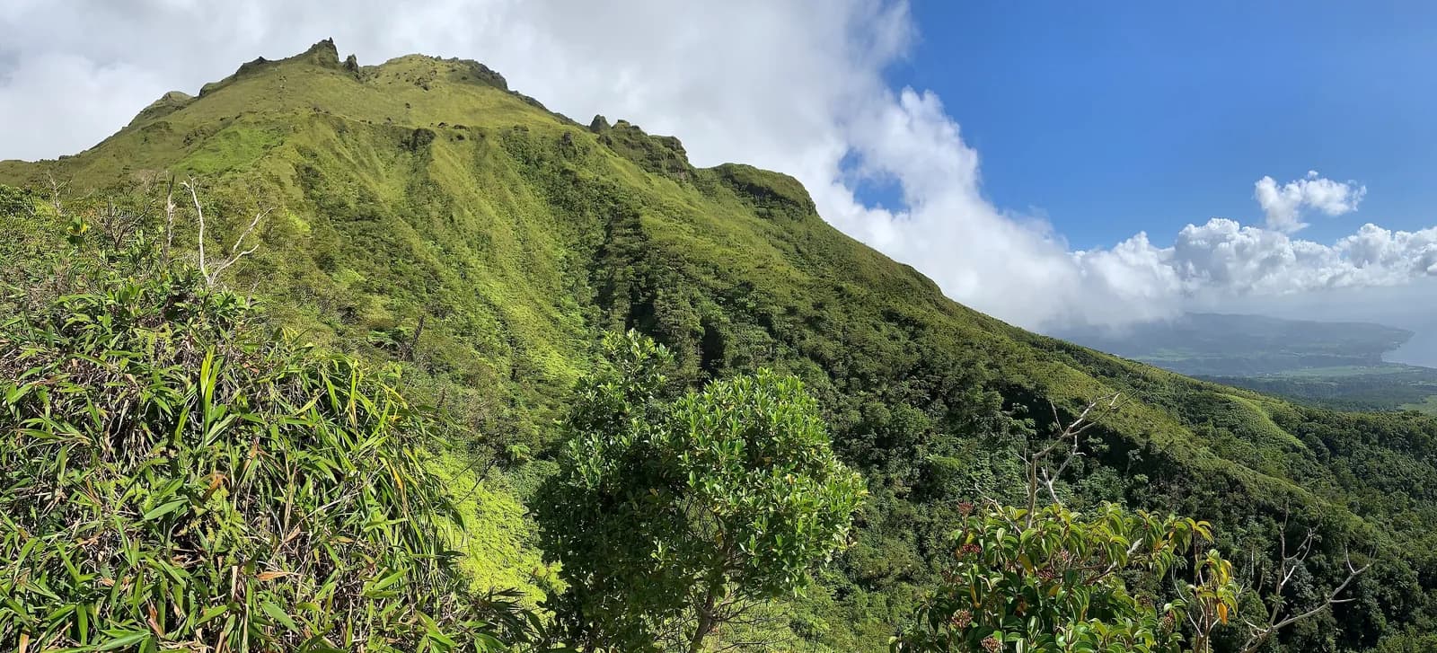 Crête du sommet de la Montagne Pelée avec vue sur la côte et la mer, Martinique