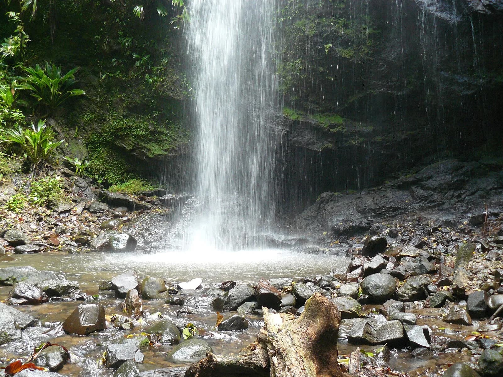 Cascade de la rivière de l'Anse Couleuvre au Prêcheur, entourée de végétation et de rochers