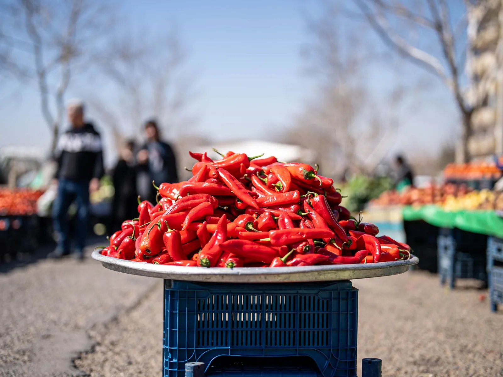 Tas de piments rouges sur un plateau, sur un étal de marché en plein air