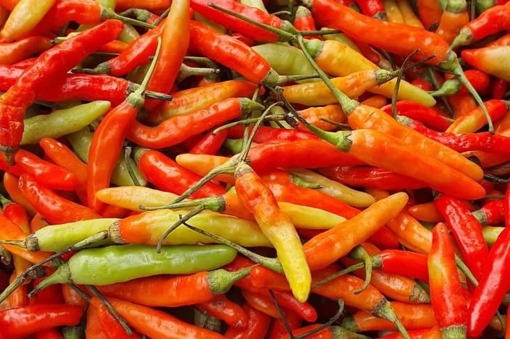 Tas de petits piments rouges et orangés, fins et allongés