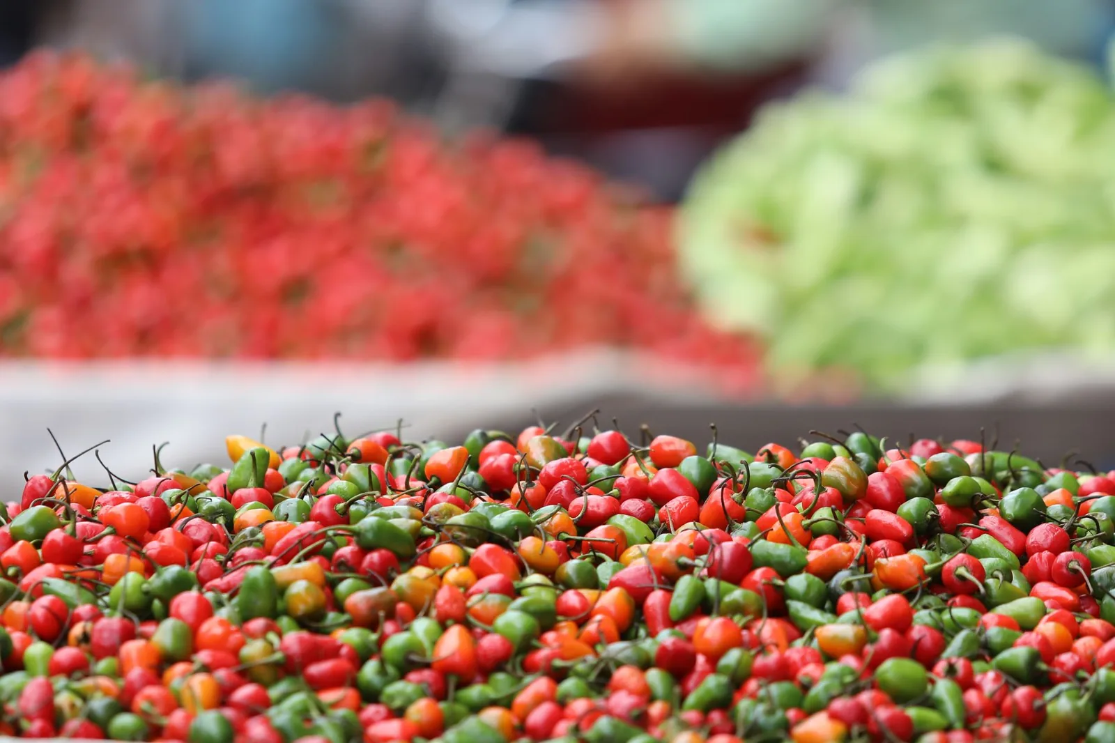 Petits piments verts, orange et rouges entassés sur un étal de marché