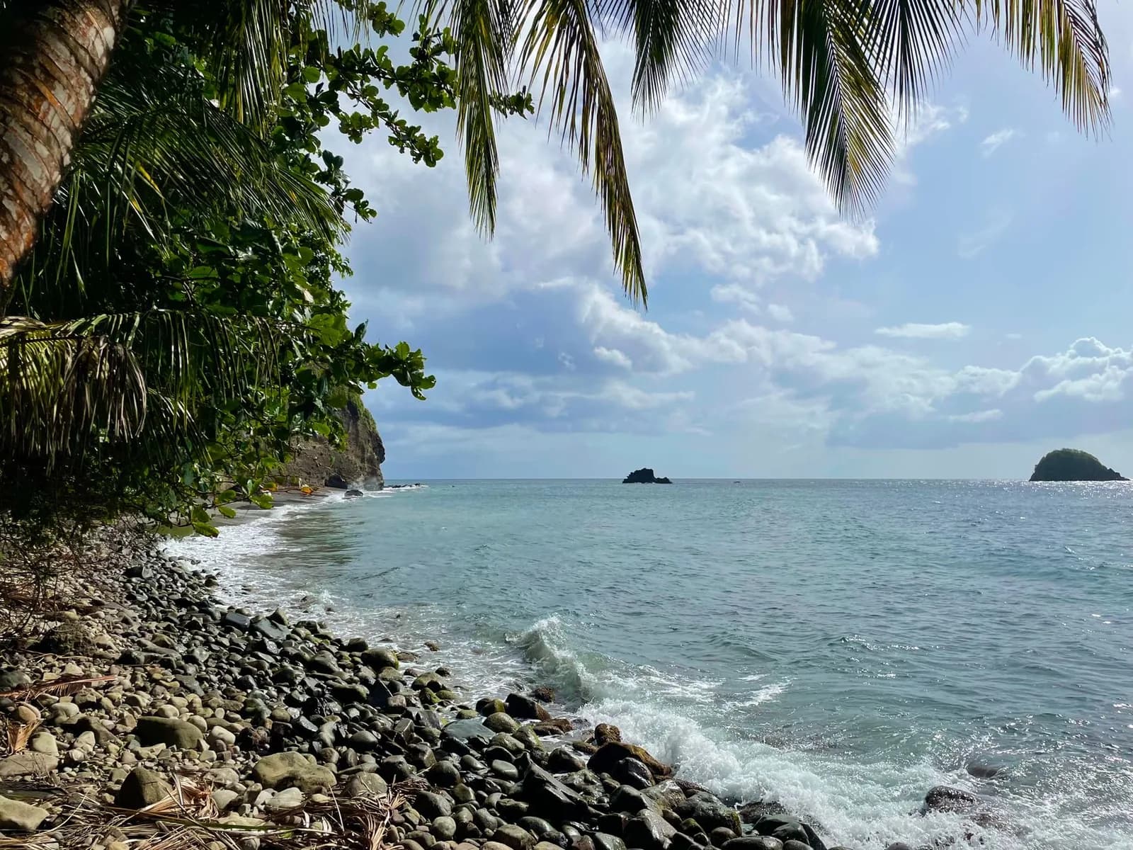 Plage de galets bordée de palmiers, Le Prêcheur, Martinique