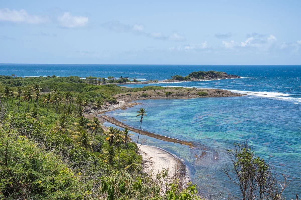 Côte atlantique vue de la Trace des Caps à Sainte-Anne : palmiers, plage de sable clair, lagon turquoise et îlot
