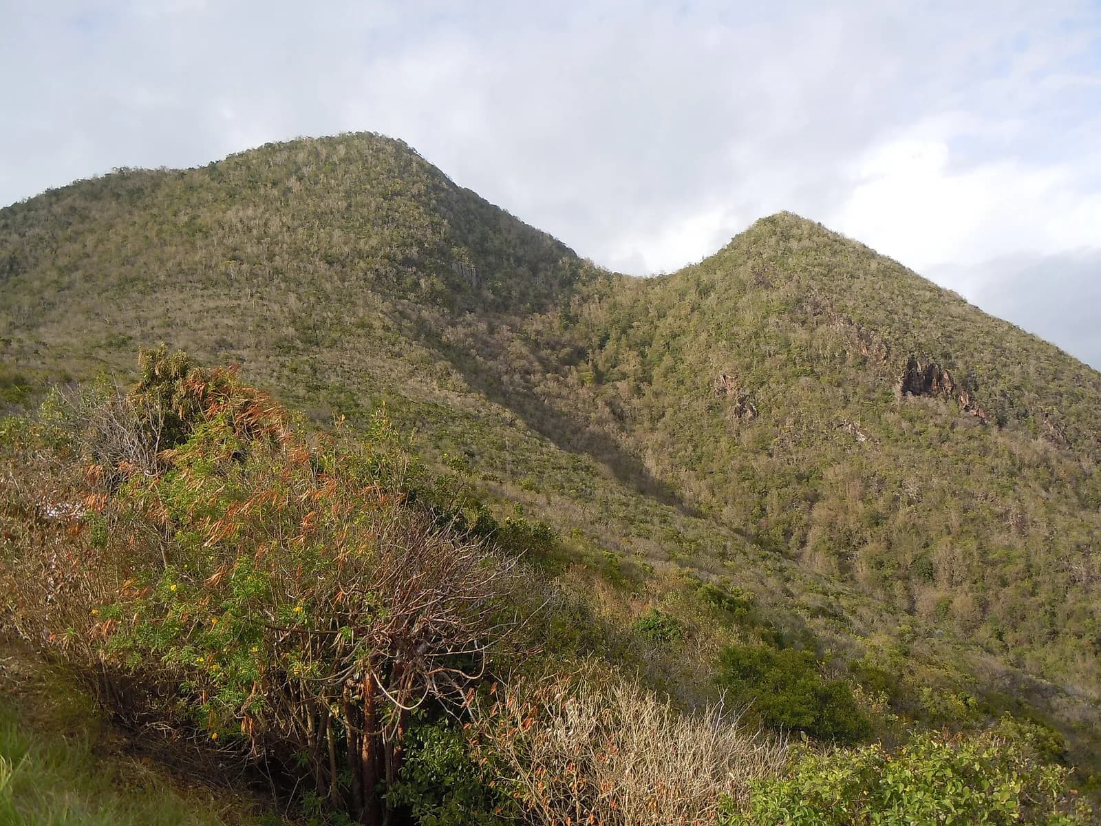 Le Morne Larcher au Diamant, Martinique, avec ses deux sommets aux pentes de végétation sèche