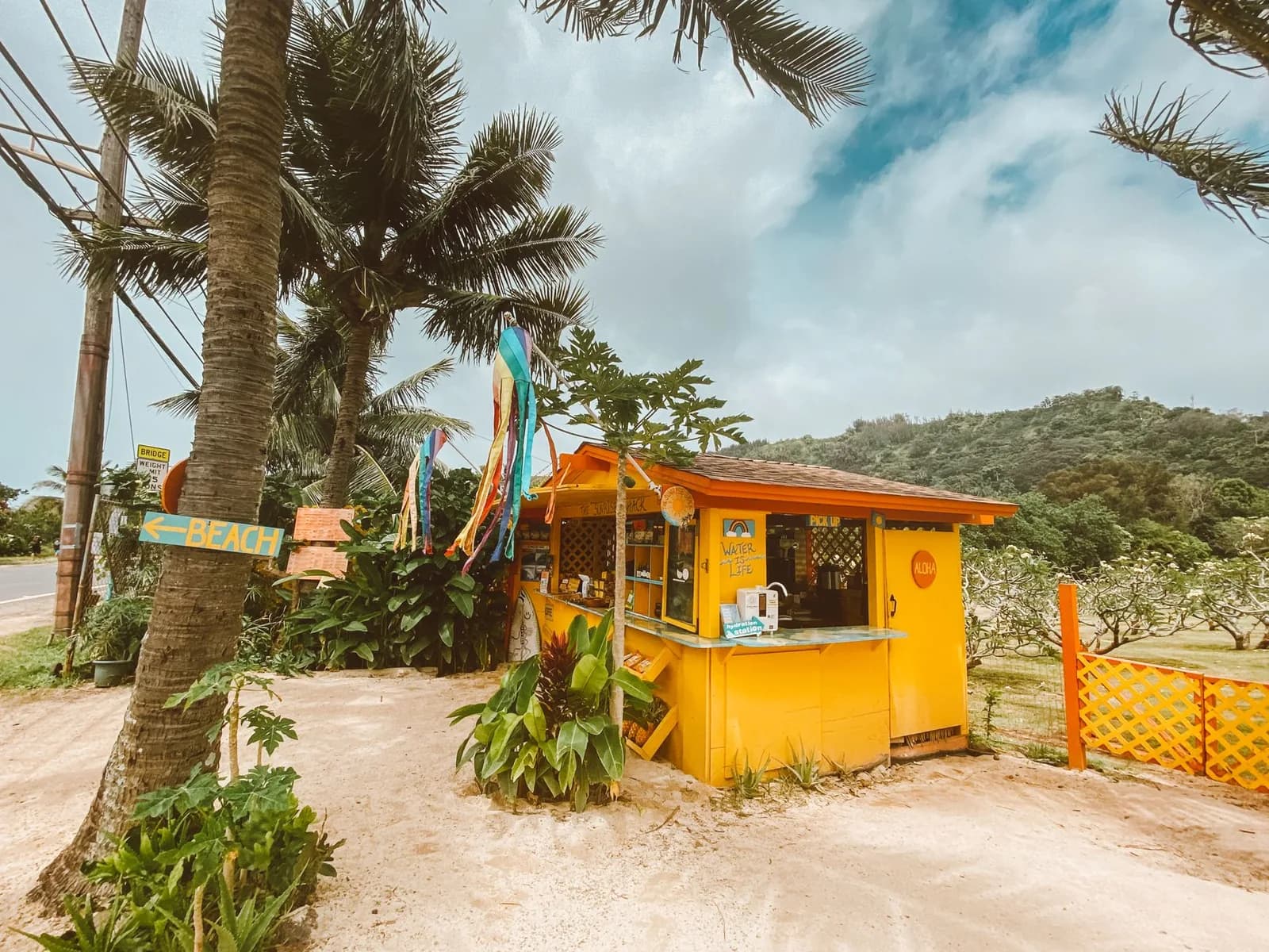 Petit snack jaune de bord de plage sous les cocotiers, façon paillote des Antilles