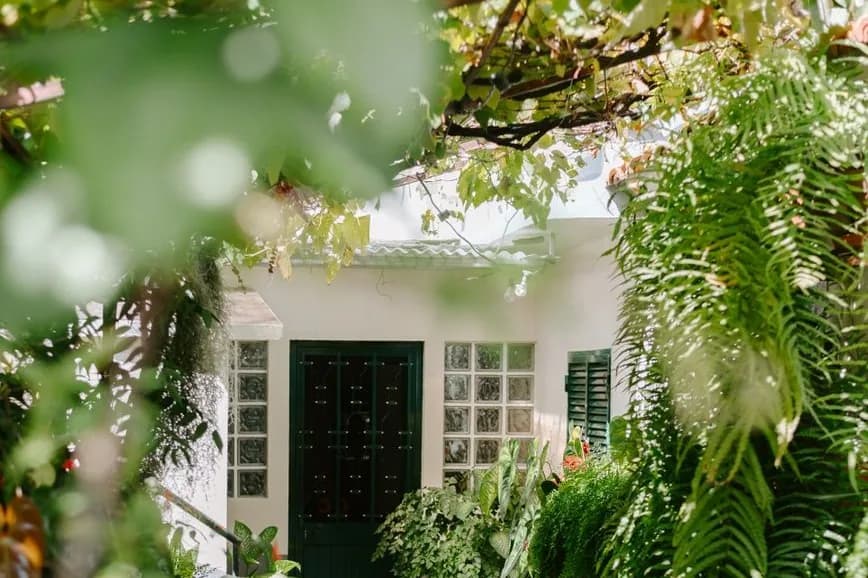 Maison blanche aux volets verts entourée de fougères et de végétation tropicale