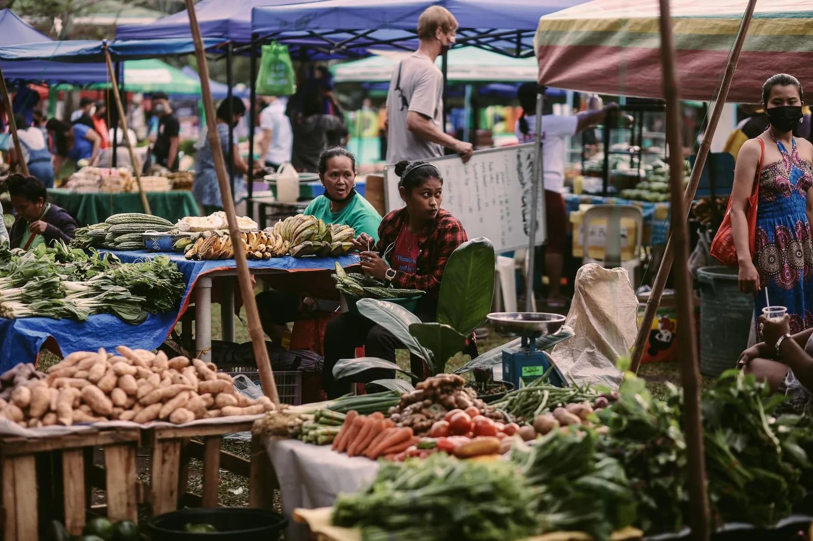 Étals de fruits et légumes frais sous des tentes dans un marché en plein air