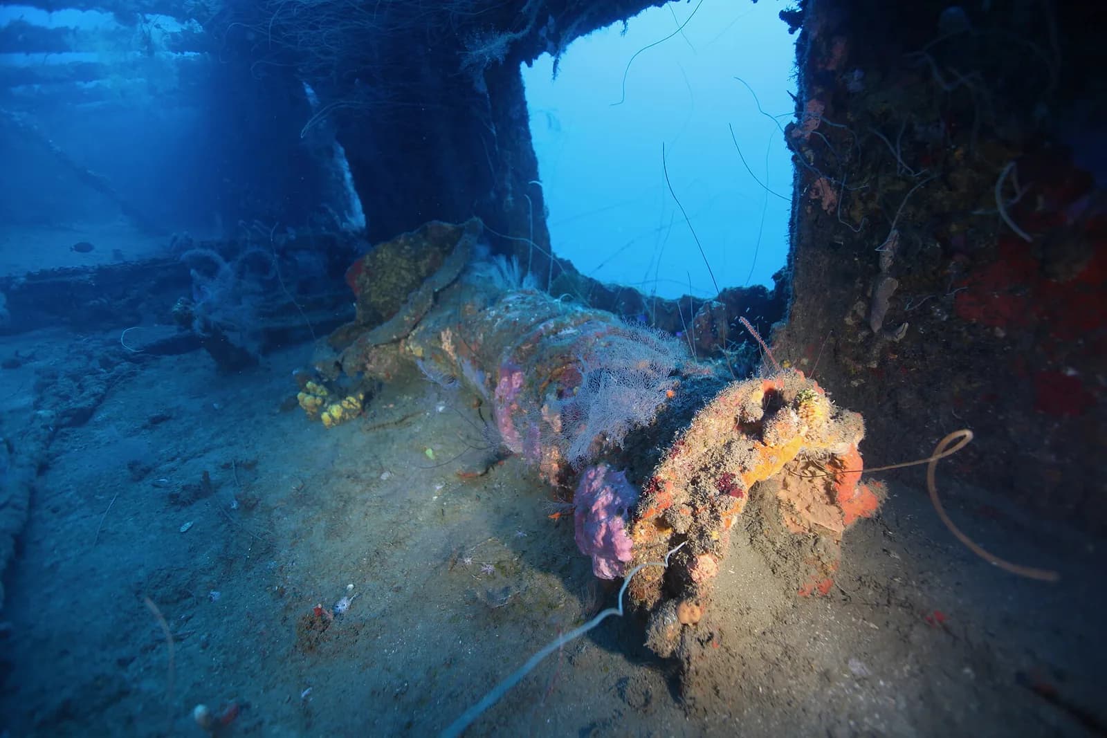 Plongée sur l'épave du Roraima, navire détruit en 1902, dans la rade de Saint-Pierre