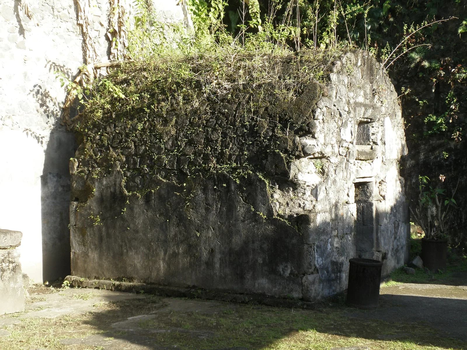 Cachot de Cyparis, cellule en pierre envahie de végétation à Saint-Pierre