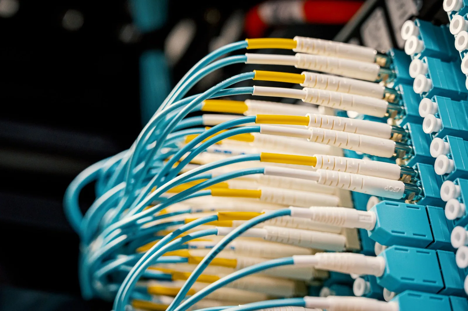 Gros plan de câbles de fibre optique branchés sur un panneau de raccordement réseau