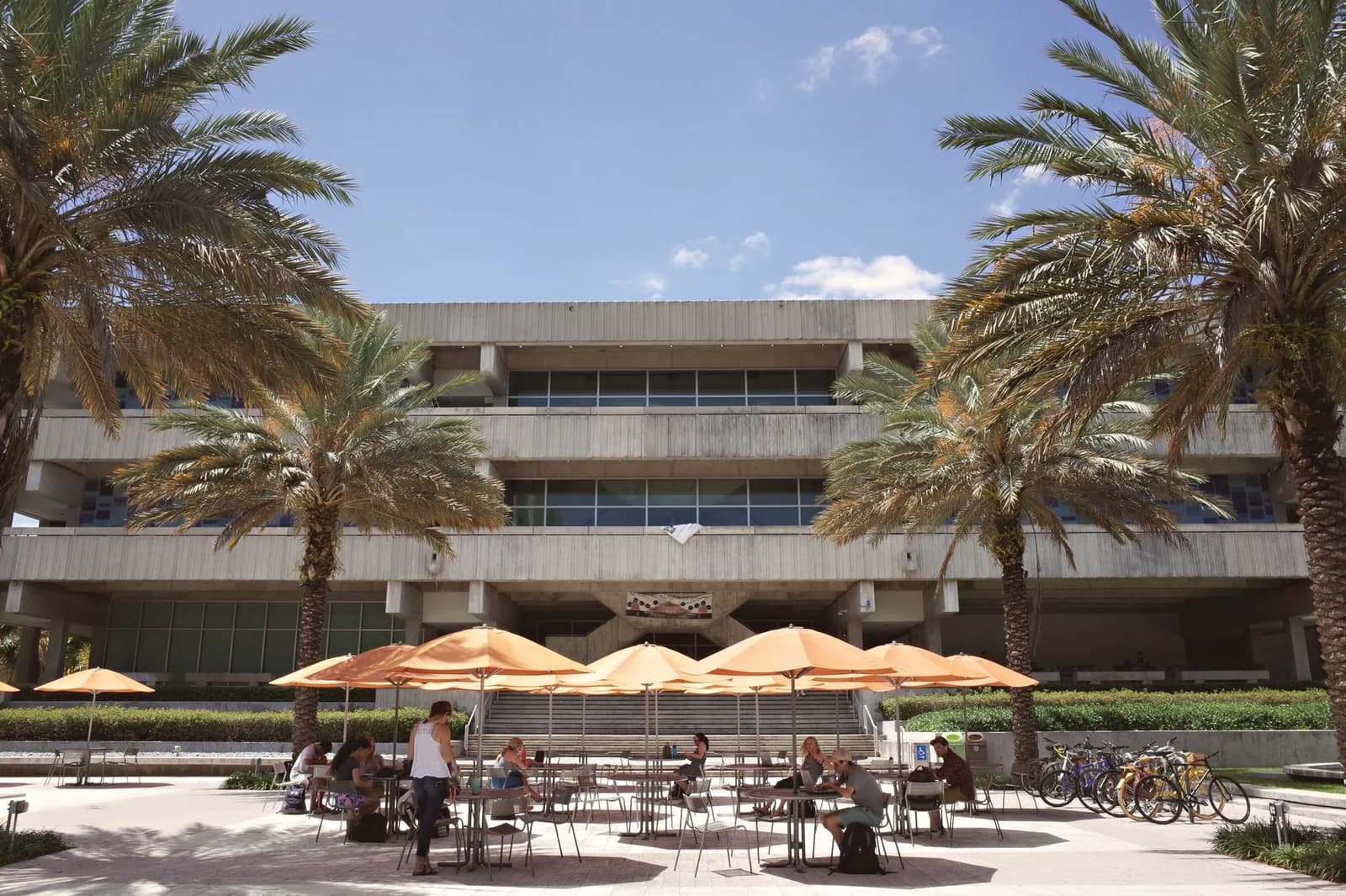 Terrasse d'un campus universitaire sous les palmiers, avec des étudiants attablés sous des parasols