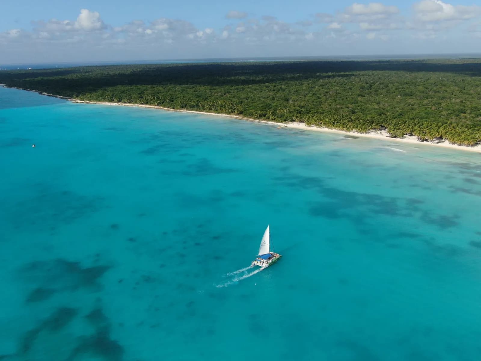 Catamaran à voile naviguant dans un lagon turquoise devant une plage bordée de cocotiers